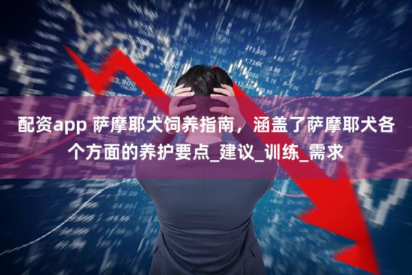配资app 萨摩耶犬饲养指南，涵盖了萨摩耶犬各个方面的养护要点_建议_训练_需求