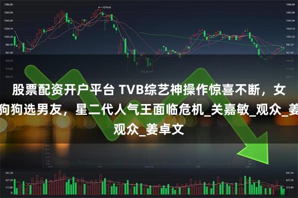 股票配资开户平台 TVB综艺神操作惊喜不断，女神让狗狗选男友，星二代人气王面临危机_关嘉敏_观众_姜卓文