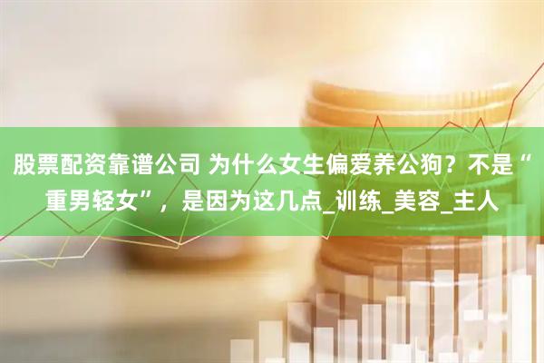 股票配资靠谱公司 为什么女生偏爱养公狗？不是“重男轻女”，是因为这几点_训练_美容_主人
