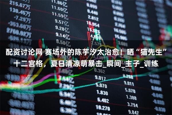 配资讨论网 赛场外的陈芋汐太治愈！晒“猫先生”十二宫格，夏日清凉萌暴击_瞬间_主子_训练